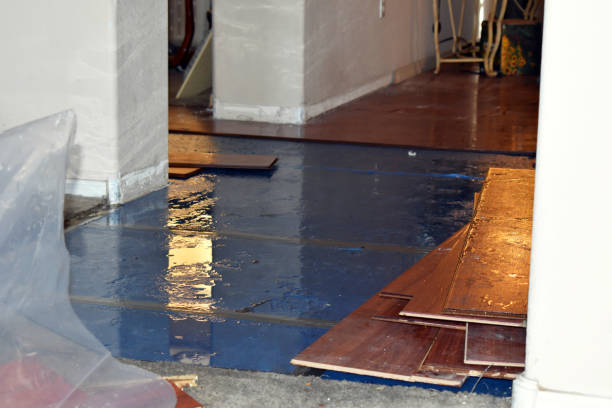 Professional Sewage Cleanup technician working in Casco, MI